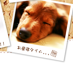 �����Q�^�C���D�D�D