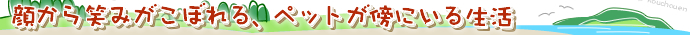 �炩��΂݂����ڂ��A�y�b�g���T�ɂ��鐶��